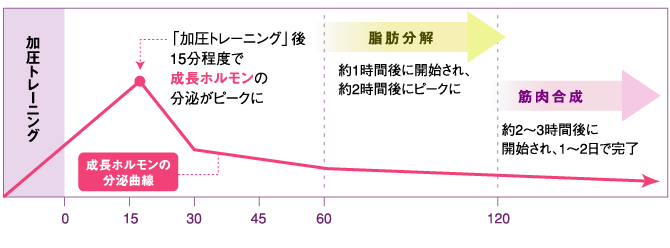 加圧トレーニング　成長ホルモン分泌　～神戸　ダイエット・ボディメイク専門パーソナルトレーニングジム「SmartStyle」～